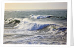 Winter storm waves crash on headline at Shore Aceres State Park, Oregon, USA by Anonymous