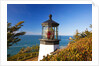 Cape Meares Lighthouse, from Cape Meares, Oregon, USA by Anonymous
