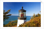Cape Meares Lighthouse, from Cape Meares, Oregon, USA by Anonymous