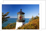 Cape Meares Lighthouse, from Cape Meares, Oregon, USA by Anonymous