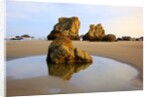 Sunrise tide pools at low tide, Bandon Beach, Oregon, USA by Anonymous