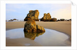 Sunrise tide pools at low tide, Bandon Beach, Oregon, USA by Anonymous