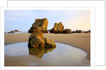 Sunrise tide pools at low tide, Bandon Beach, Oregon, USA by Anonymous
