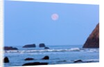 Moon set over rock formations at low tide, Bandon Beach, Oregon, USA by Anonymous