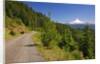 Mt. Hood from Mt. Hood National Forest. Oregon, USA by Anonymous