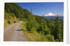 Mt. Hood from Mt. Hood National Forest. Oregon, USA by Anonymous