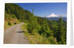 Mt. Hood from Mt. Hood National Forest. Oregon, USA by Anonymous