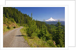 Mt. Hood from Mt. Hood National Forest. Oregon, USA by Anonymous