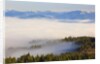Morning fog covers Hood River Valley, Oregon, USA by Anonymous