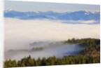 Morning fog covers Hood River Valley, Oregon, USA by Anonymous