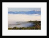 Morning fog covers Hood River Valley, Oregon, USA by Anonymous