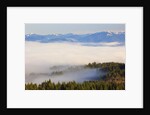 Morning fog covers Hood River Valley, Oregon, USA by Anonymous