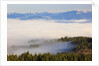 Morning fog covers Hood River Valley, Oregon, USA by Anonymous