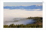 Morning fog covers Hood River Valley, Oregon, USA by Anonymous