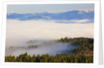 Morning fog covers Hood River Valley, Oregon, USA by Anonymous