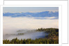 Morning fog covers Hood River Valley, Oregon, USA by Anonymous
