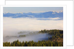 Morning fog covers Hood River Valley, Oregon, USA by Anonymous