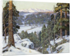 Pines in Winter by George Gardner Symons