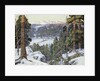 Pines in Winter by George Gardner Symons
