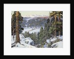 Pines in Winter by George Gardner Symons
