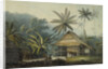View in the Island of Crakatoa by John Webber