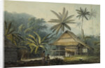 View in the Island of Crakatoa by John Webber