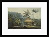View in the Island of Crakatoa by John Webber