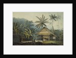 View in the Island of Crakatoa by John Webber