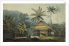 View in the Island of Crakatoa by John Webber