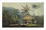 View in the Island of Crakatoa by John Webber