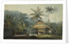 View in the Island of Crakatoa by John Webber