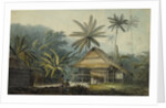 View in the Island of Crakatoa by John Webber