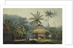 View in the Island of Crakatoa by John Webber