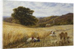 Harvest Time Near Holmbury Hill, Surrey by George Vicat Cole
