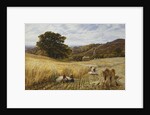 Harvest Time Near Holmbury Hill, Surrey by George Vicat Cole