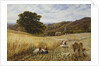 Harvest Time Near Holmbury Hill, Surrey by George Vicat Cole