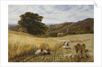 Harvest Time Near Holmbury Hill, Surrey by George Vicat Cole