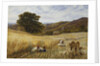 Harvest Time Near Holmbury Hill, Surrey by George Vicat Cole