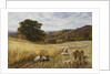 Harvest Time Near Holmbury Hill, Surrey by George Vicat Cole