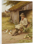 His Last Investment by Charles Edward Wilson