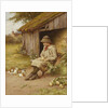 His Last Investment by Charles Edward Wilson