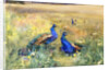 Peacocks in a Field by Mildred Anne Butler