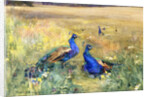 Peacocks in a Field by Mildred Anne Butler
