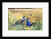 Peacocks in a Field by Mildred Anne Butler