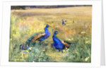 Peacocks in a Field by Mildred Anne Butler