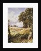The Reapers by Myles Birket Foster
