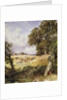 The Reapers by Myles Birket Foster