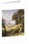 The Reapers by Myles Birket Foster