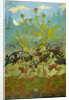 Thistles and Foxglove by Paul Ranson