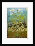Thistles and Foxglove by Paul Ranson